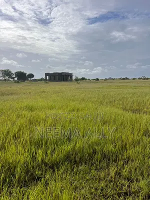 Viwanja Kimbiji Bohari