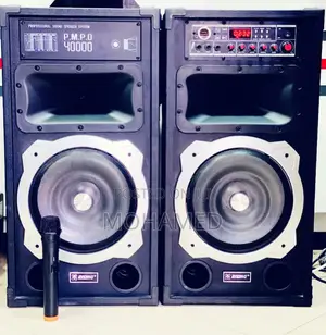 Rising Professional Speaker System