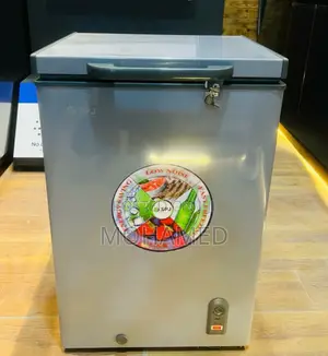 SPJ Freezer/Friza 100L