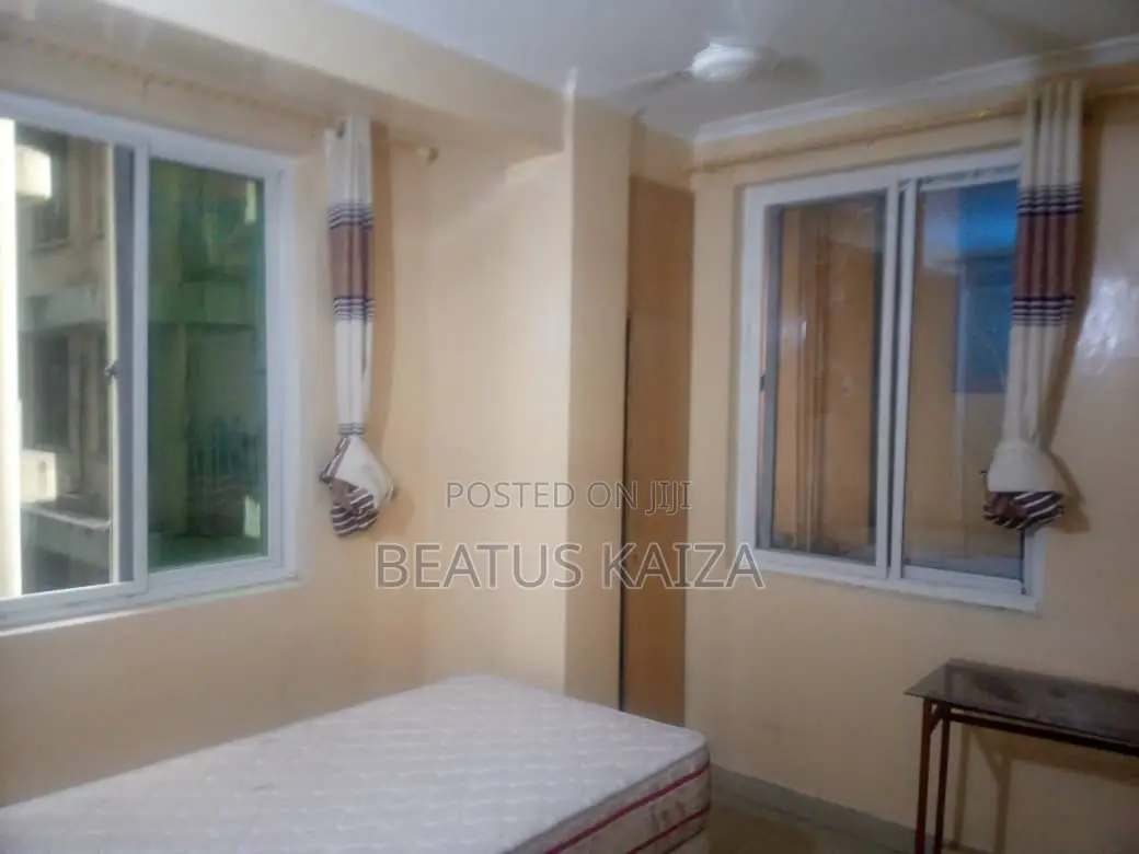 Furnished 3bdrm Apartment in Kariakoo Lumumba for rent