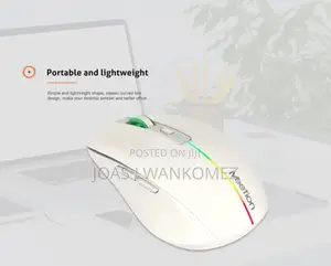 Rechargeable Wireless Mouse(Silent Light Weight).