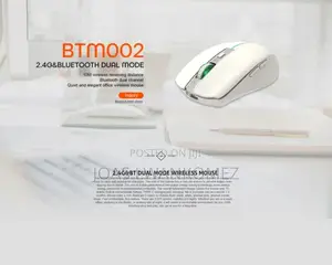 Rechargeable Wireless Mouse(Silent Light Weight).