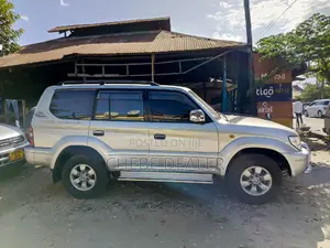 Toyota Land Cruiser 2005 Silver