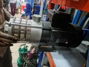 Stainless Steel Pump (Food Grade Pump)