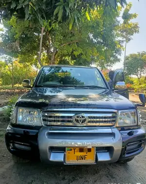 Toyota Land Cruiser 2005 Blue