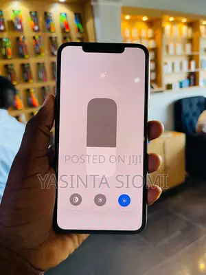 Apple iPhone 11 Pro Max 256 GB Rose Gold