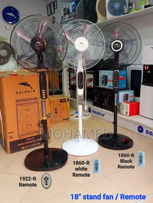 Photo - Dolphin Remote Fan/Feni