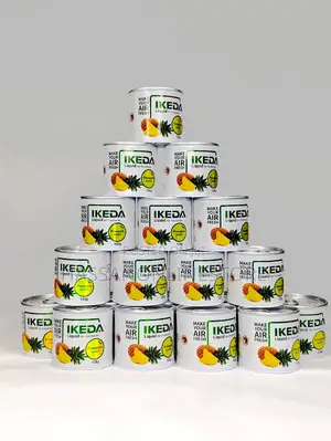 Ikeda Liquid Air Fresheners - Pineapple Scent