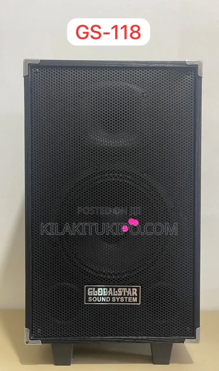 Portable Sound System With Mike