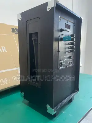 Portable Sound System With Mike
