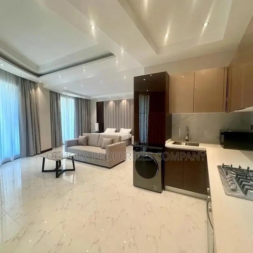 Furnished Studio Apartment in Masaki for rent