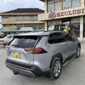 Toyota RAV4 XLE Premium AWD 2020 Silver