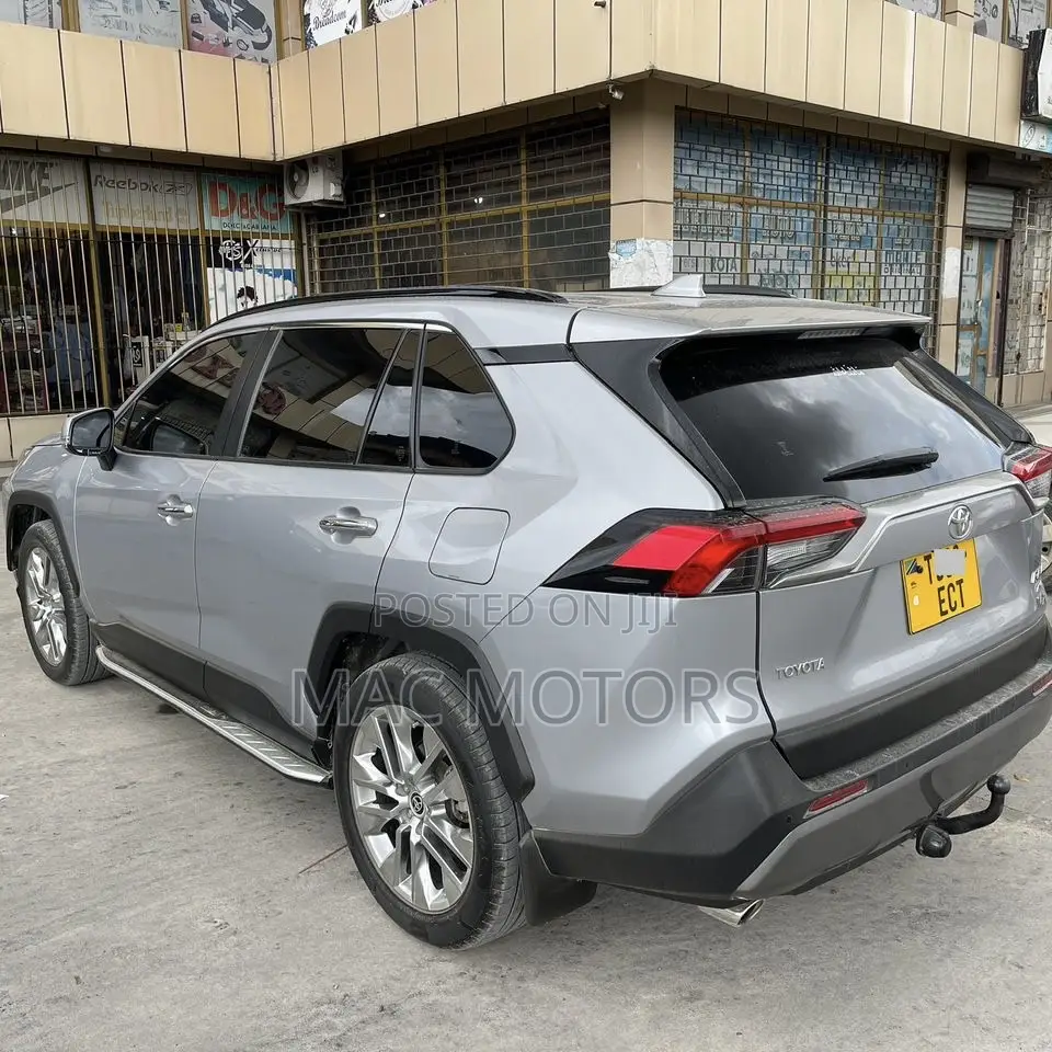 Toyota RAV4 XLE Premium AWD 2020 Silver