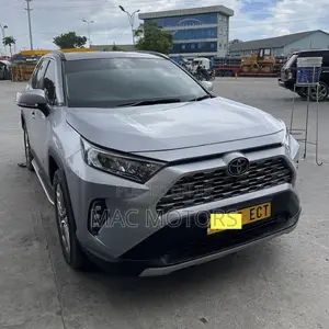 Toyota RAV4 XLE Premium AWD 2020 Silver