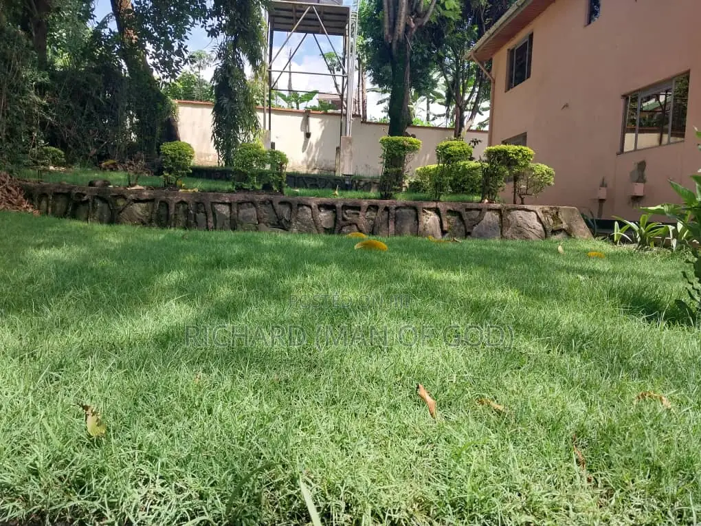 2bdrm Apartment in Arusha for rent