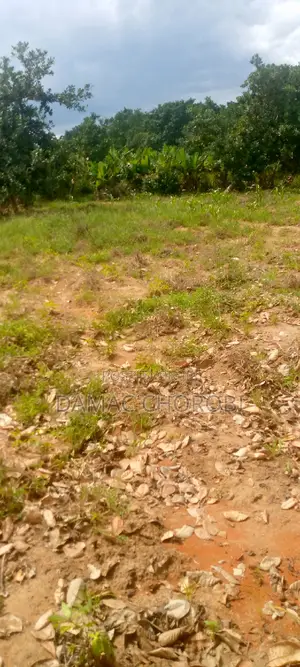 Eka 5 Zinauzwa Morogoro Mikese