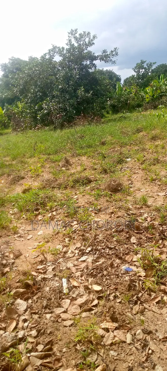 Eka 5 Zinauzwa Morogoro Mikese