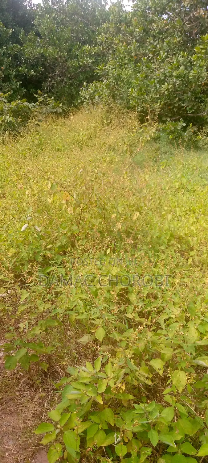 Eka 5 Zinauzwa Morogoro Mikese