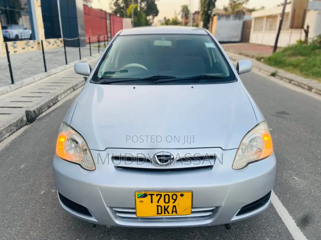 Toyota Corolla RunX 2004 Silver