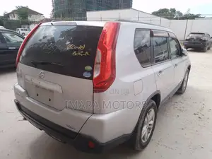 Nissan X-Trail 2010 Gray