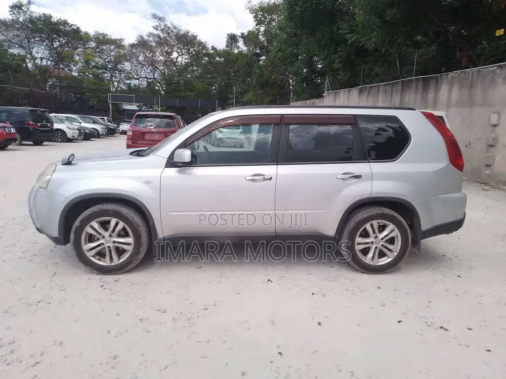 Nissan X-Trail 2010 Gray