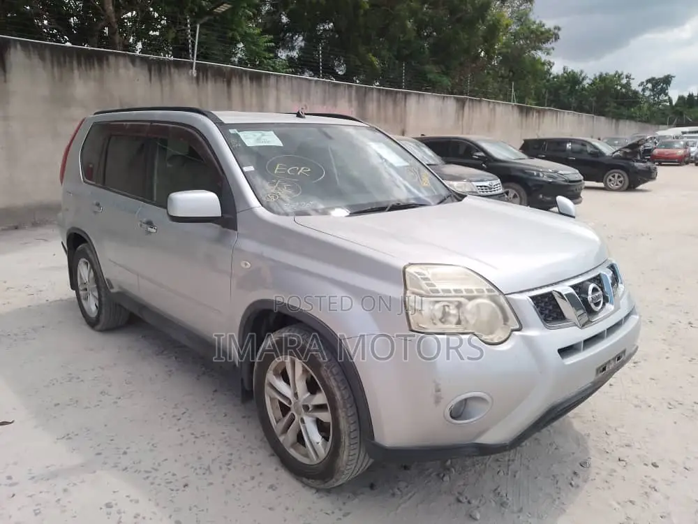 Nissan X-Trail 2010 Gray