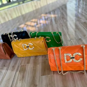 Ladies Handbags/ Pochi