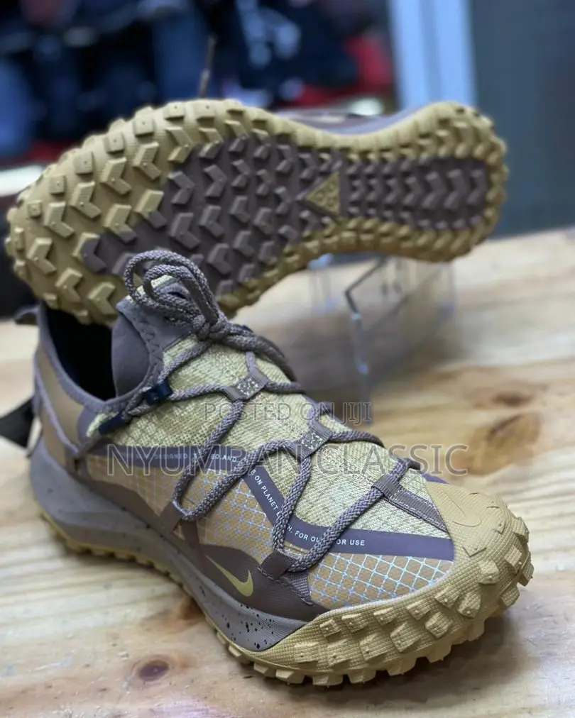 Nike Shoes Original
