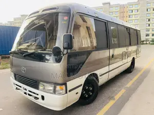 Toyota Coaster 2002 Grey