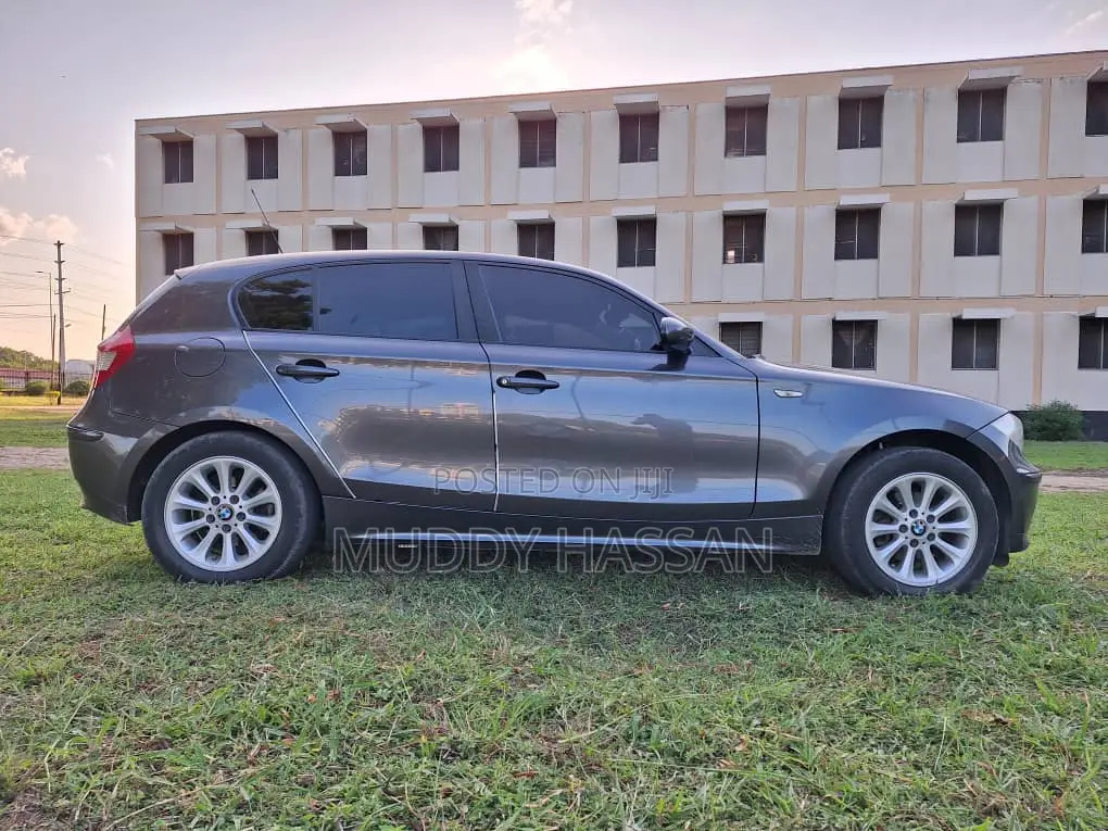 BMW X1 2010 Gray