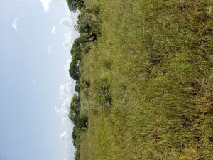 Plots for Sale Kigamboni