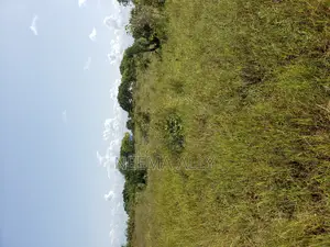 Plots for Sale Kigamboni