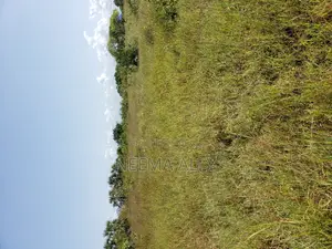 Plots for Sale Kigamboni
