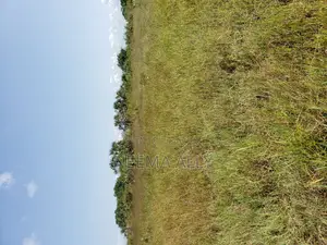 Plots for Sale Kigamboni