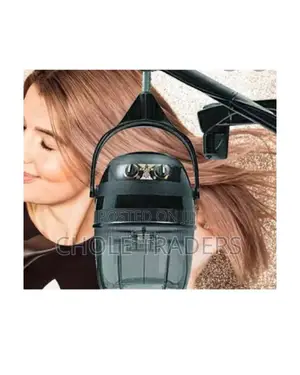 Equator 3000 Professional Salon Wall Mounted Hair Dryer