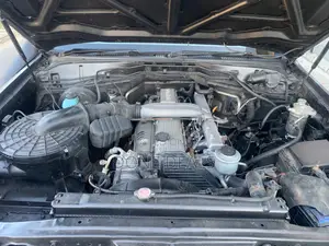 Toyota Land Cruiser 2006 Gray