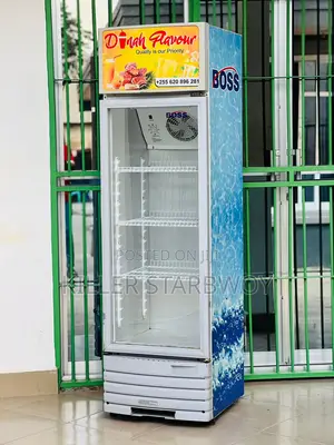 Display Fridge Lita 270