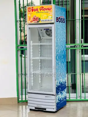Display Fridge Lita 270