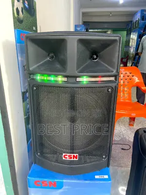 CSN 307 Wireless Trolley Speaker 12"