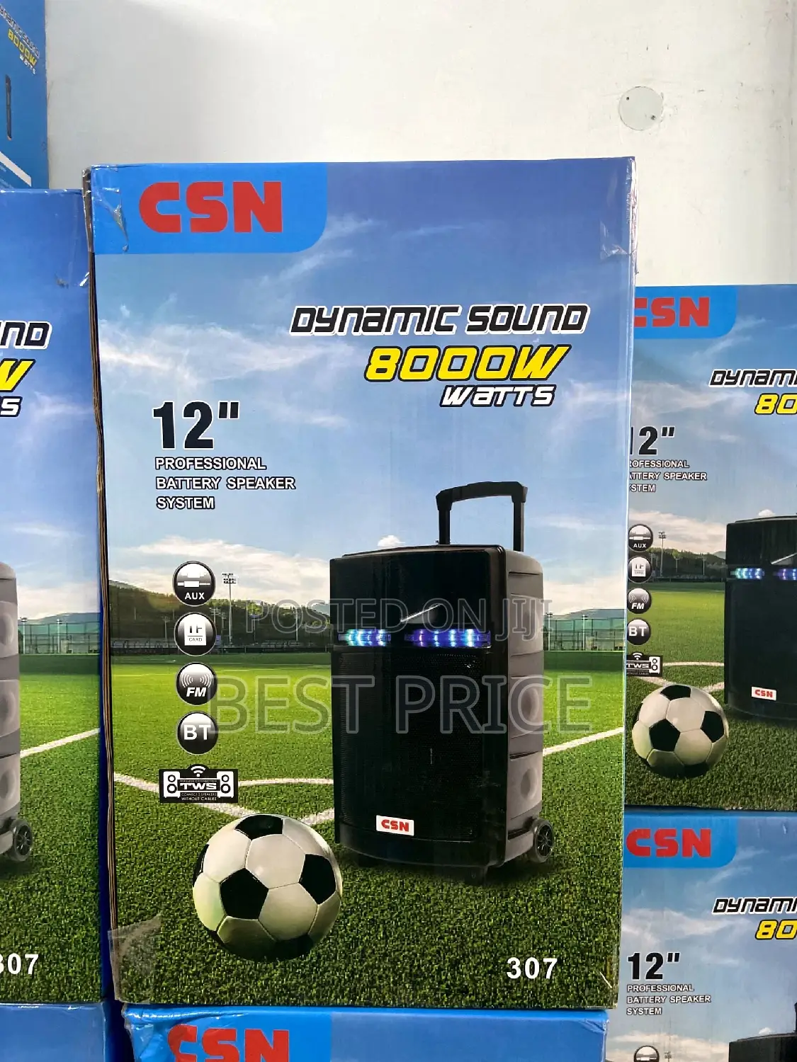 CSN 307 Wireless Trolley Speaker 12"