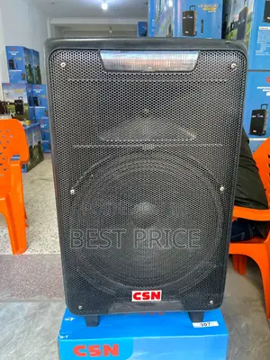 CSN 306 Wireless Trolley Speaker 12"