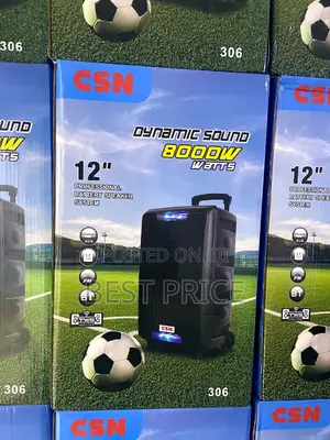 CSN 306 Wireless Trolley Speaker 12"
