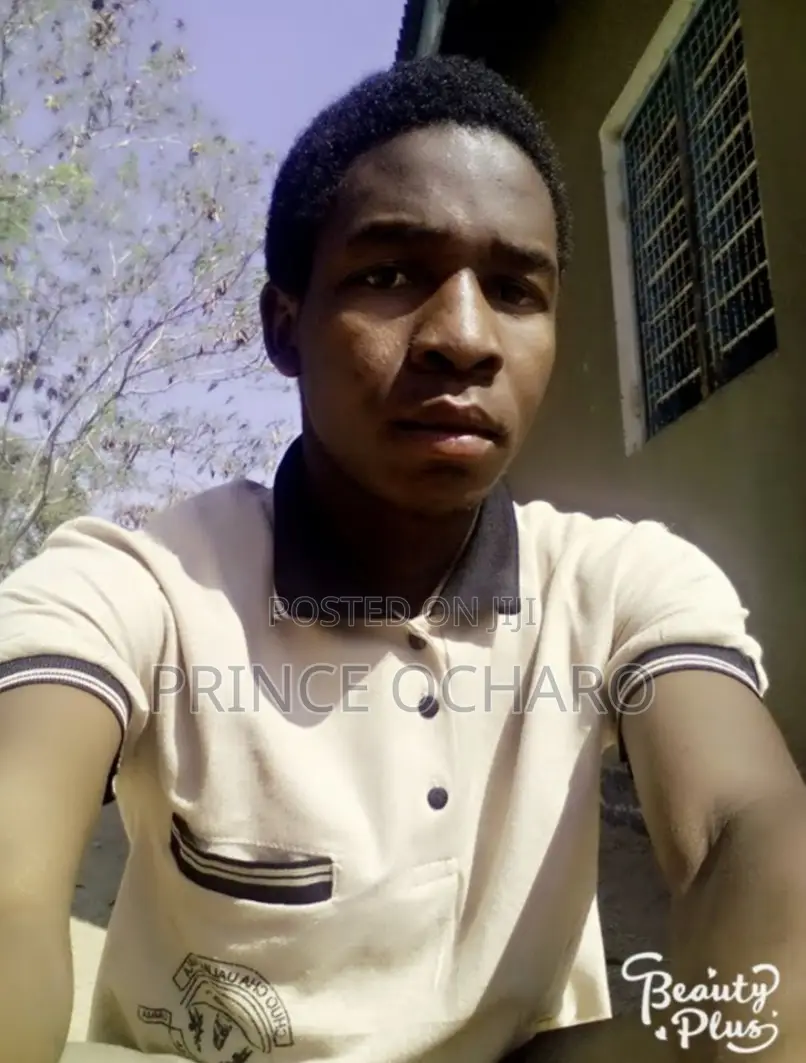 Primary Teacher