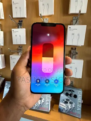 Apple iPhone 12 Pro Max 256 GB Gray