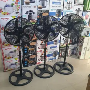 Feni Za Kisasa Na Original