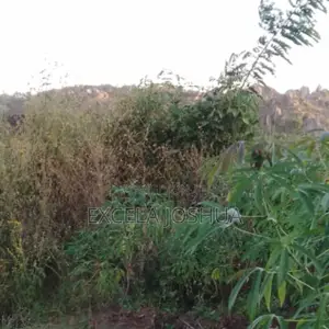 Viwanja Vilivyopimwa Vinauzwa Bwiru Mwanza