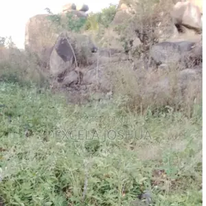 Viwanja Vilivyopimwa Vinauzwa Bwiru Mwanza