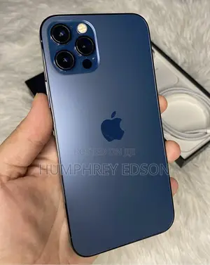 Apple iPhone 12 Pro Max 256 GB Blue