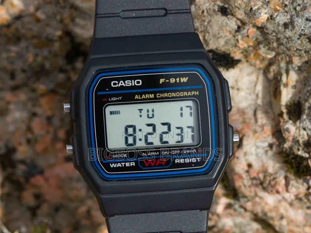 Casio F - 91W