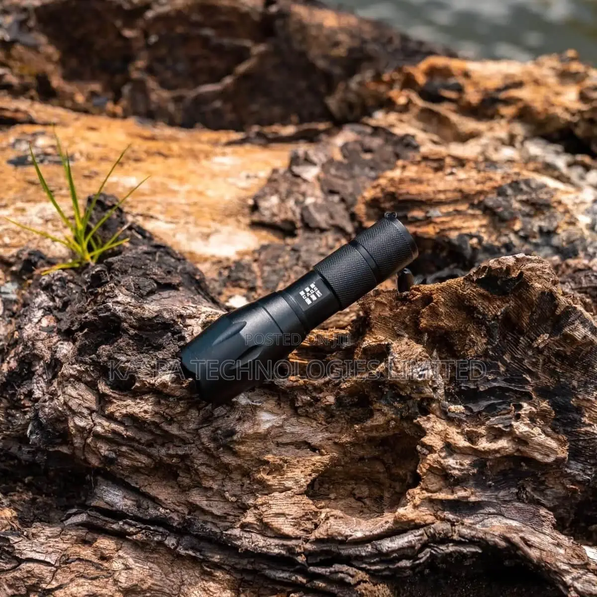 Security Flashlight